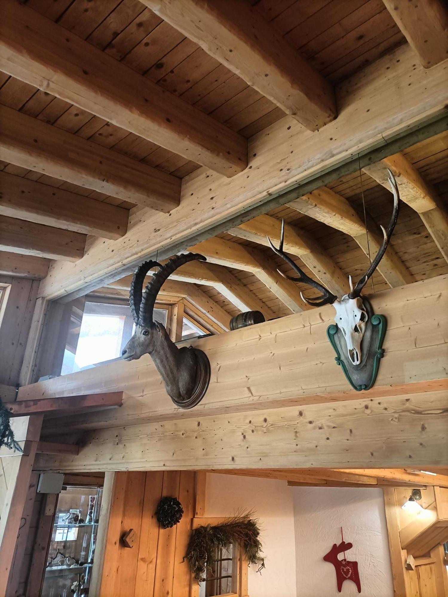 Chalet 1400 Nuova Gestione Limone Piemonte Eksteriør billede